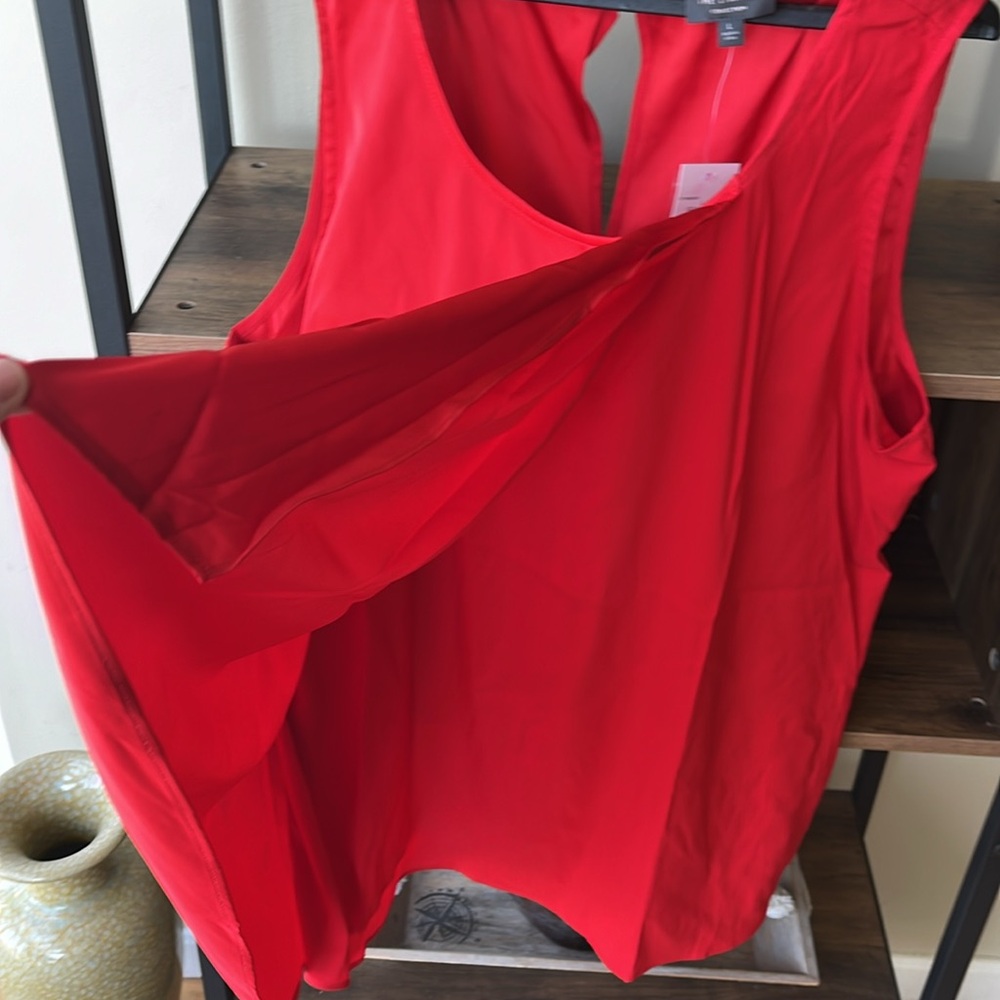The limited - L- brand new with tags has a lovely overlay, pleaded in the front - Picture 2 of 5